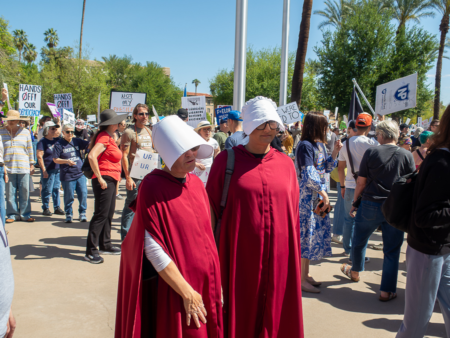 Image 15