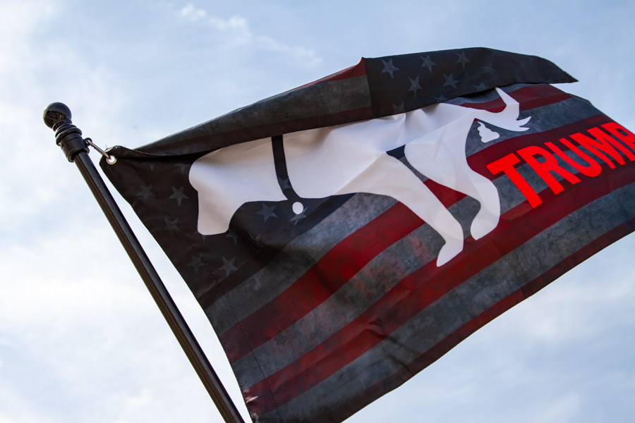 Close up of a flag with a silhouette of a dog taking a dump on the name Trump waving against the sky