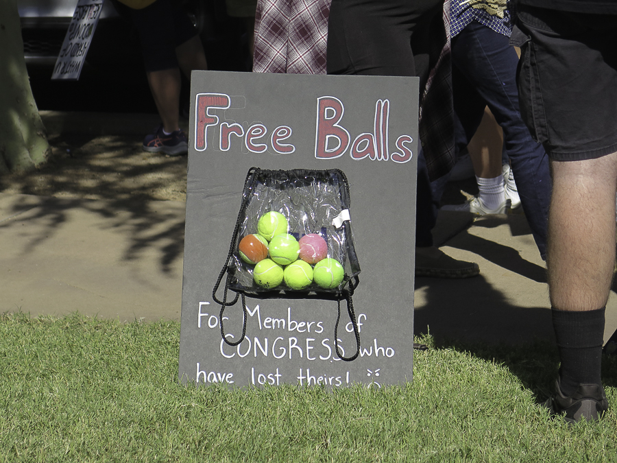 No Kings 2.0 political protest sign reading Free Balls For Members of CONGRESS who have lost theirs at Phoenix demonstration