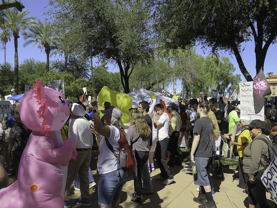 Inflatable axolotl, duck, and unicorn costumes gathering inside the crowd at the Phoenix No Kings 2.0 demonstration