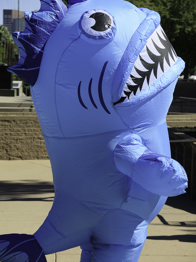 Inflatable blue shark costume worn by a demonstrator at the Phoenix No Kings 2.0 protest rally